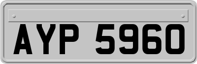 AYP5960