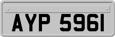 AYP5961