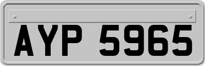 AYP5965