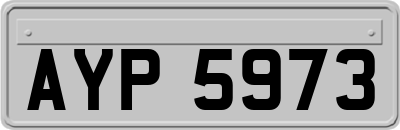 AYP5973