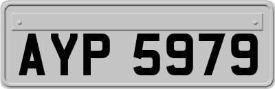 AYP5979