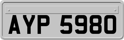AYP5980