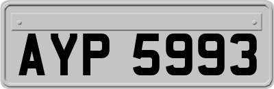 AYP5993