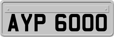 AYP6000