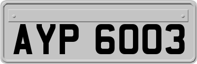 AYP6003