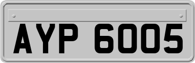AYP6005