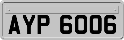AYP6006