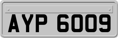 AYP6009