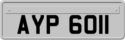 AYP6011