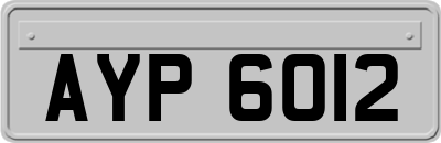 AYP6012