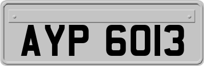 AYP6013