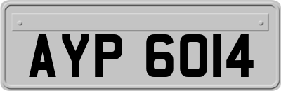 AYP6014