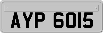 AYP6015