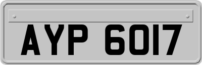 AYP6017