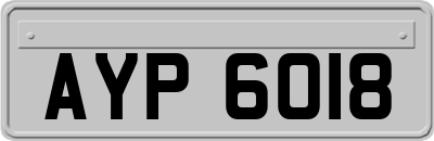 AYP6018