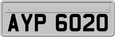 AYP6020