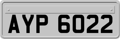 AYP6022