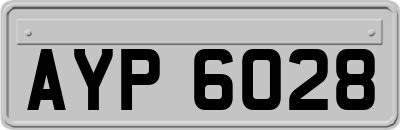 AYP6028
