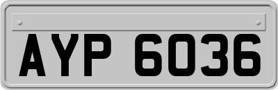 AYP6036
