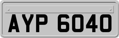 AYP6040