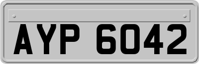 AYP6042