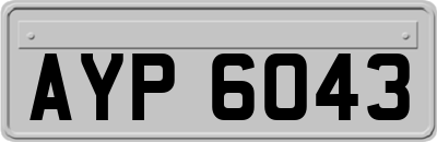 AYP6043