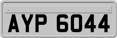 AYP6044