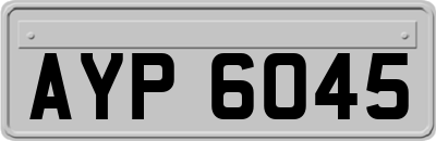 AYP6045