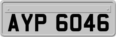 AYP6046