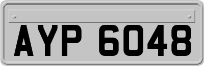 AYP6048
