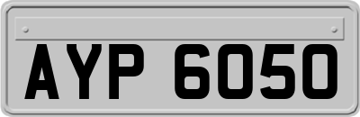 AYP6050