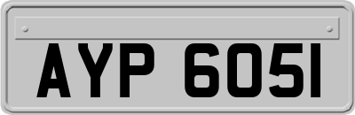 AYP6051
