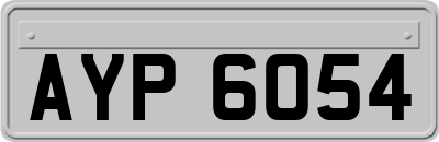 AYP6054