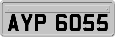 AYP6055