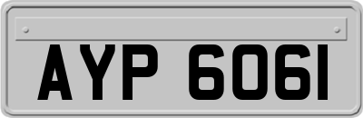 AYP6061