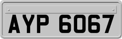 AYP6067