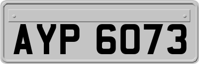 AYP6073