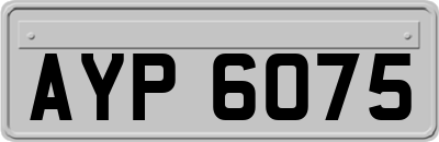 AYP6075