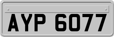 AYP6077