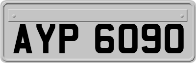 AYP6090