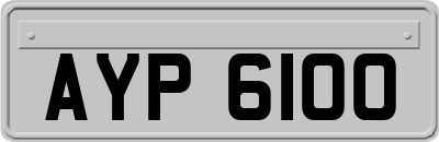 AYP6100