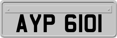 AYP6101
