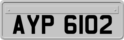 AYP6102