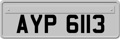 AYP6113