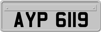 AYP6119
