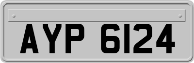 AYP6124