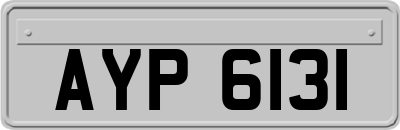 AYP6131
