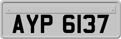 AYP6137