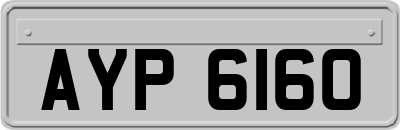 AYP6160