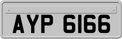 AYP6166